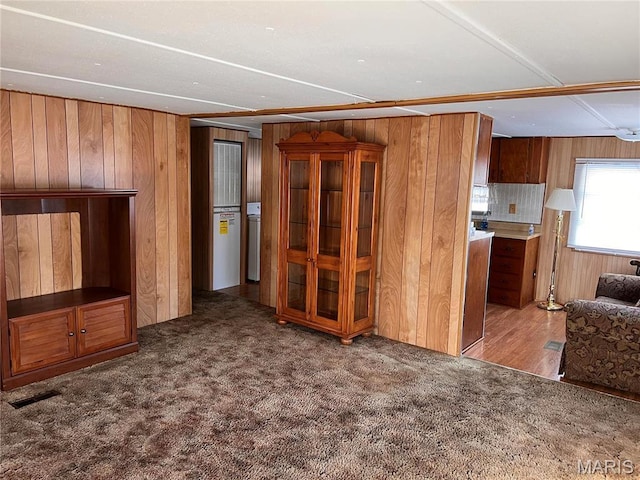 802 S Borders Ave, Marissa, IL 62255 - photo 16