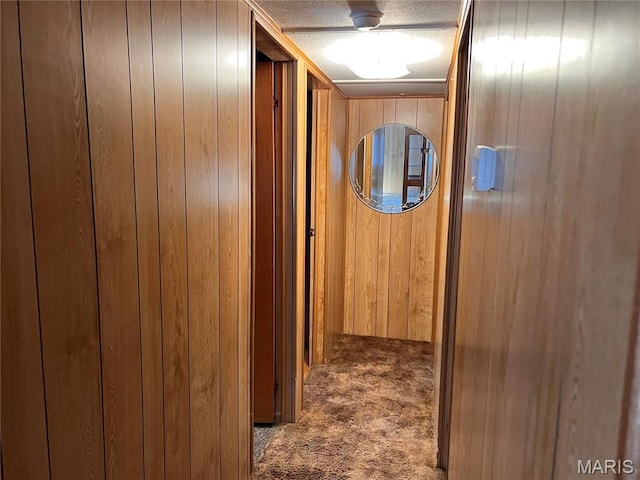 802 S Borders Ave, Marissa, IL 62255 - photo 20