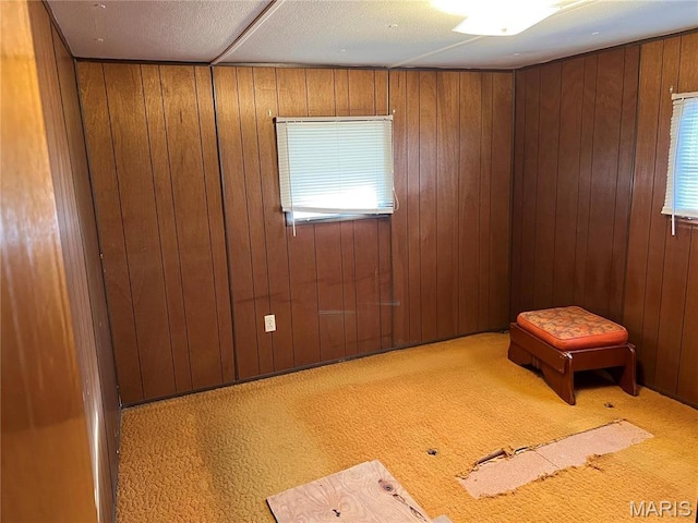 802 S Borders Ave, Marissa, IL 62255 - photo 22