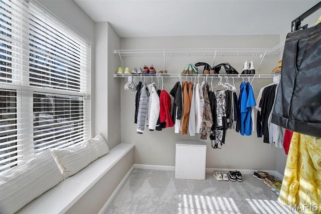 997 Sheffield Forest Ct, Wildwood, MO 63021 - walk in closet featuring carpet flooring