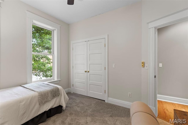 2811 Shenandoah Ave, Saint Louis, MO 63104 - photo 18