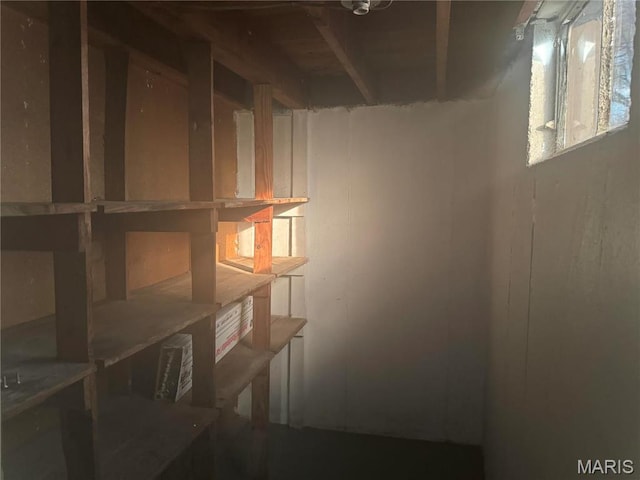 9100 Gedde Ave, Saint Louis, MO 63134 - view of basement