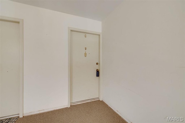 13485 Coliseum Dr Unit G, Chesterfield, MO 63017 - view of doorway to property