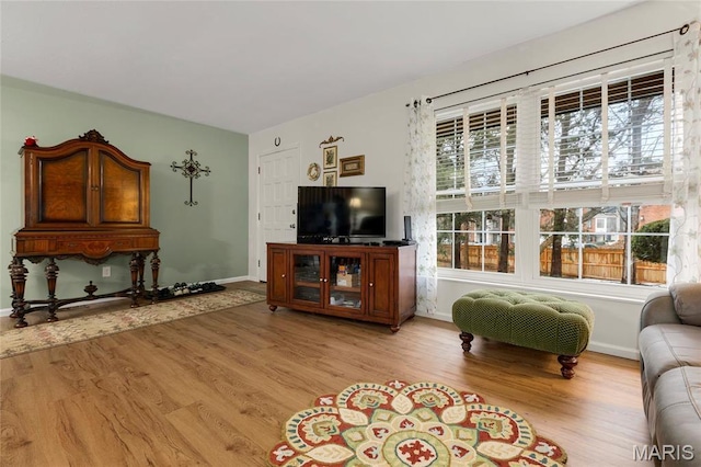 13459 Coliseum Dr, Chesterfield, MO 63017 - living room featuring light wood-style floors and plenty of natural light