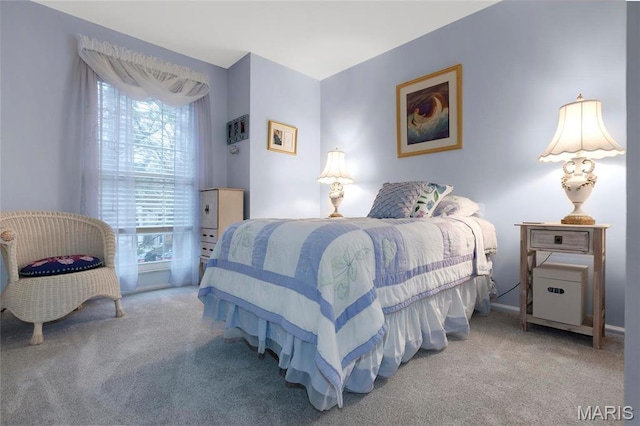 13459 Coliseum Dr, Chesterfield, MO 63017 - bedroom with carpet floors