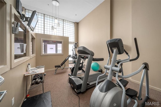 901 Washington Ave Unit 304, Saint Louis, MO 63101 - exercise area featuring carpet floors