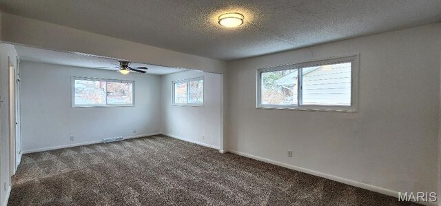 9815 Portage Dr, Saint Louis, MO 63136 - photo 13