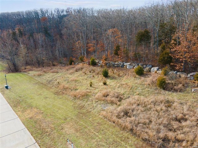 2886 Forest Glen Dr, Pacific, MO 63069 - photo 5