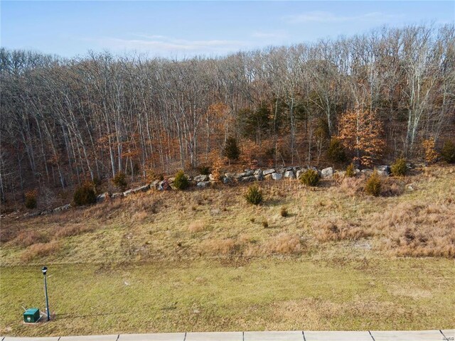 2886 Forest Glen Dr, Pacific, MO 63069 - photo 6
