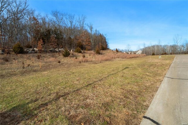 2886 Forest Glen Dr, Pacific, MO 63069 - photo 7