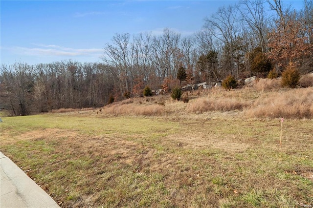 2886 Forest Glen Dr, Pacific, MO 63069 - photo 8