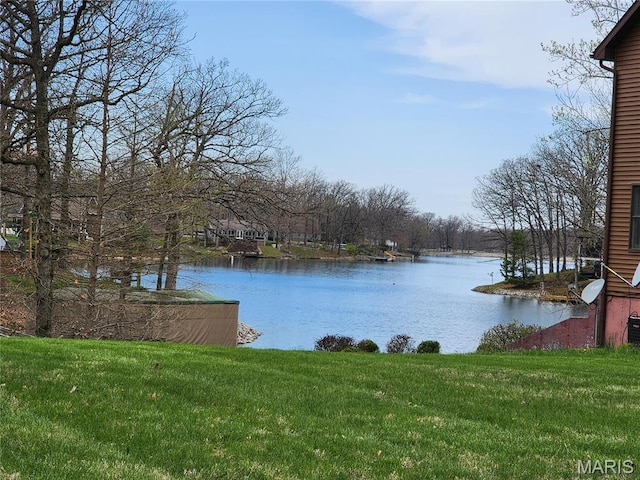 10949 Clearwater Ln, Plainview, IL 62685 - water view