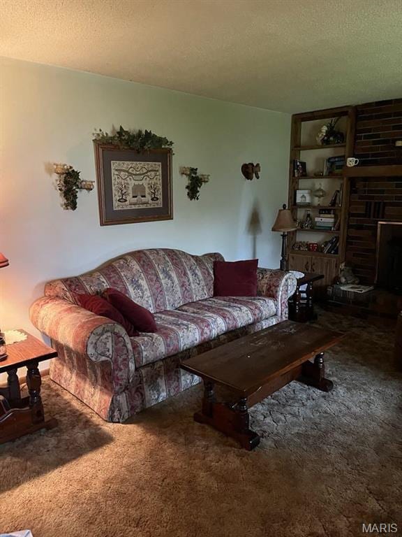 10019 Seabourne St, Belgrade, MO 63622 - carpeted living area featuring a textured ceiling