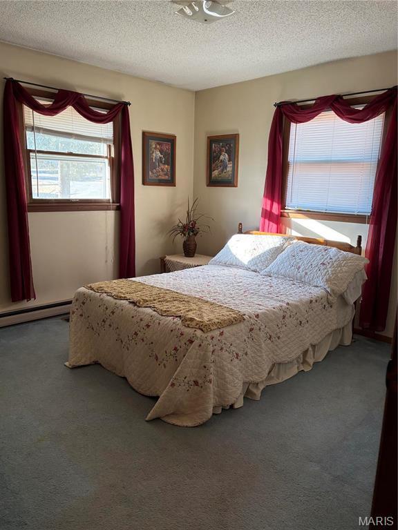 10019 Seabourne St, Belgrade, MO 63622 - carpeted bedroom with a baseboard radiator and a textured ceiling