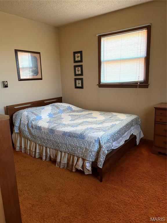 10019 Seabourne St, Belgrade, MO 63622 - bedroom featuring carpet and a textured ceiling