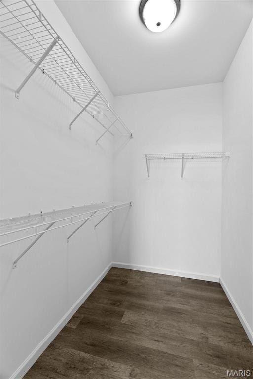 889 Walter Way, Washington, MO 63090 - spacious closet with dark wood-type flooring