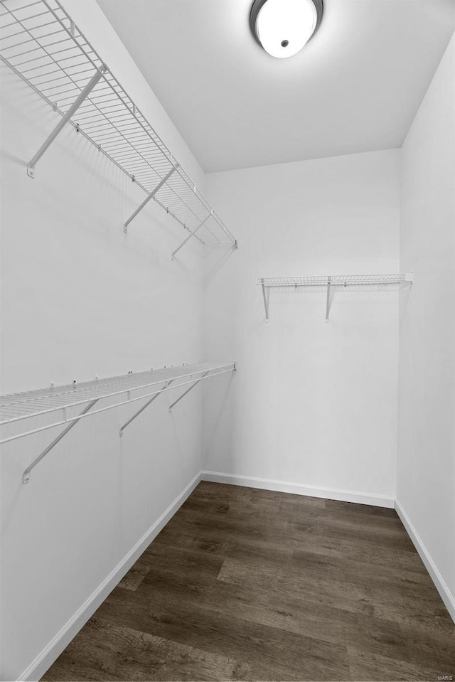 spacious closet featuring dark wood-style floors