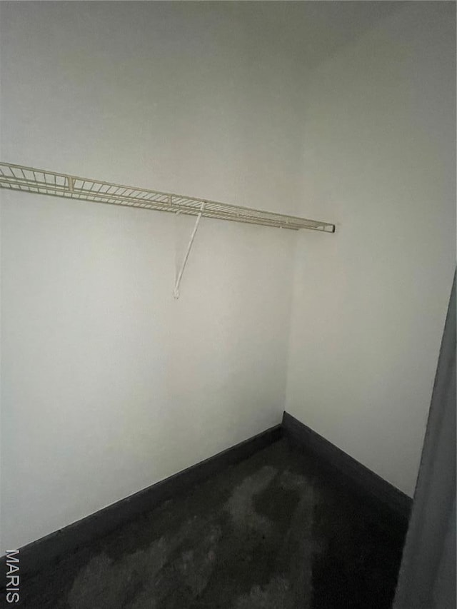 4947 Rosalie St, Saint Louis, MO 63115 - view of spacious closet