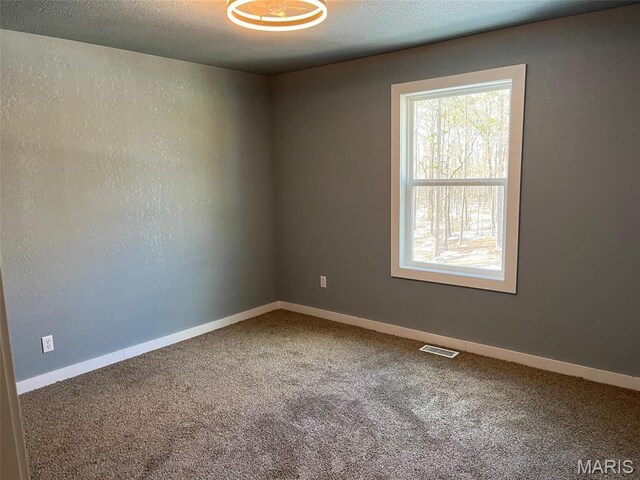 10680 Crestwood Dr, Potosi, MO 63664 - photo 11