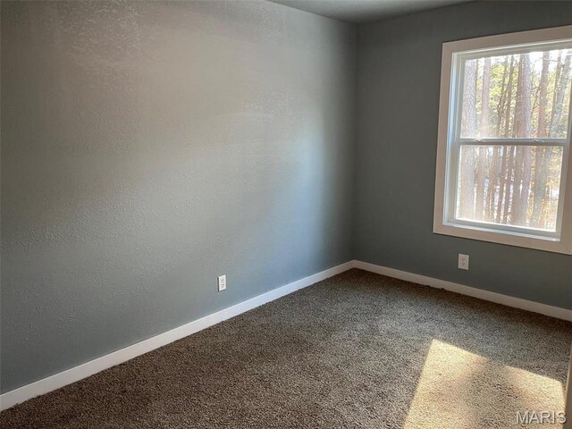 10680 Crestwood Dr, Potosi, MO 63664 - photo 12