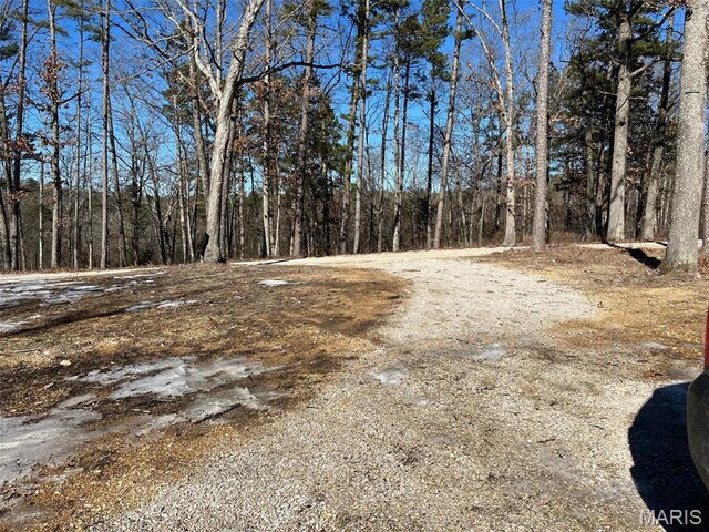 10680 Crestwood Dr, Potosi, MO 63664 - photo 36