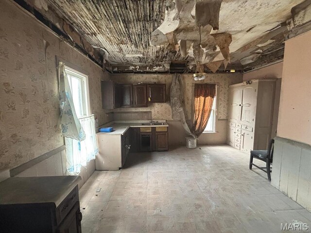 1809 Chestnut St, Hannibal, MO 63401 - kitchen with light countertops and a sink
