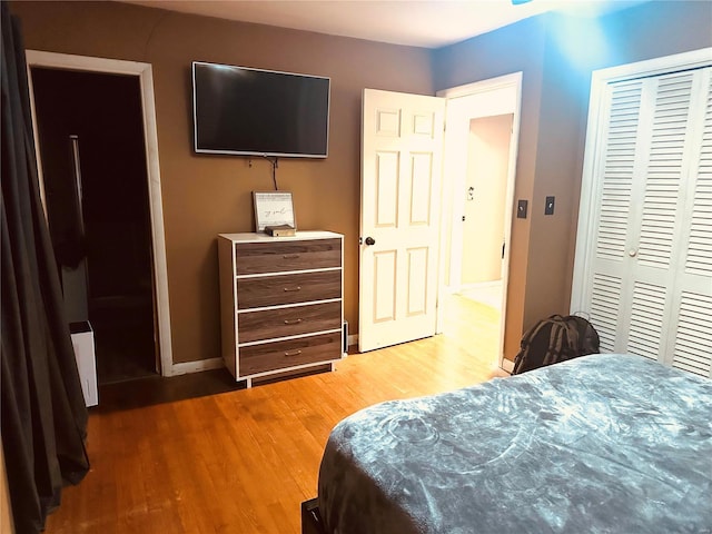 128 Pine St, Ironton, MO 63650 - bedroom featuring wood finished floors, baseboards, and a closet