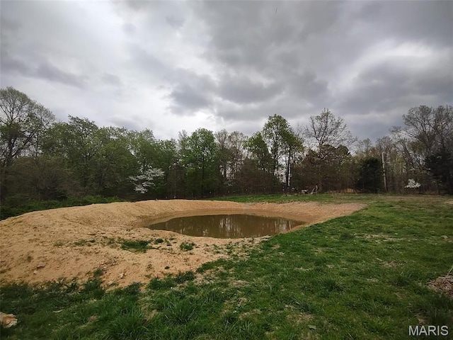 16625 Scott Ln, Willow Springs, MO 65793 - view of yard featuring a water view