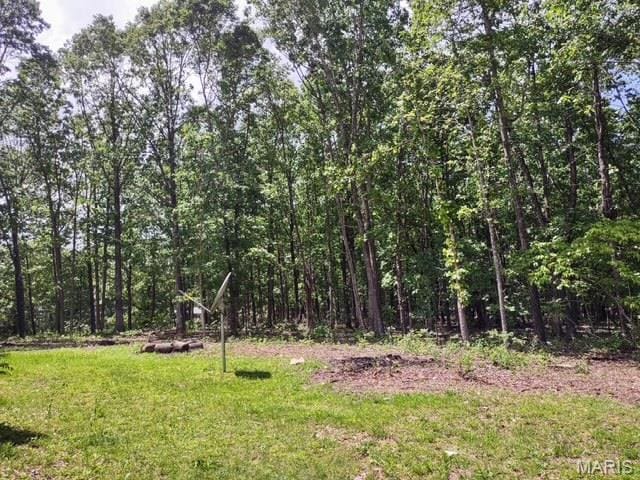 16625 Scott Ln, Willow Springs, MO 65793 - view of woods