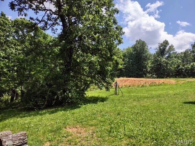 16625 Scott Ln, Willow Springs, MO 65793 - view of green lawn