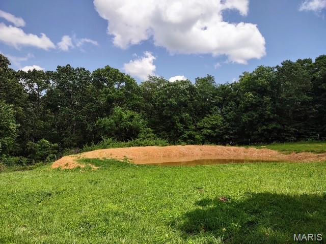 16625 Scott Ln, Willow Springs, MO 65793 - view of grassy yard featuring a wooded view