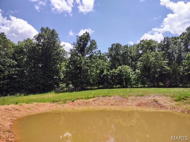 16625 Scott Ln, Willow Springs, MO 65793 - water view