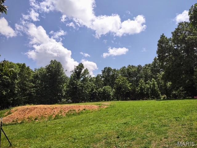 16625 Scott Ln, Willow Springs, MO 65793 - view of wooded area