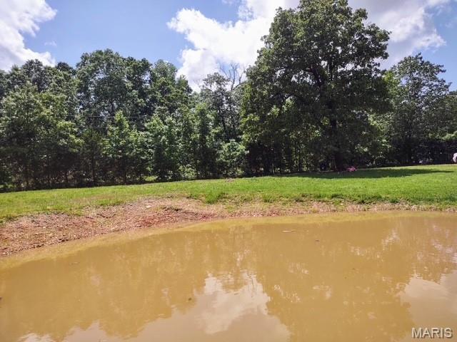 16625 Scott Ln, Willow Springs, MO 65793 - water view