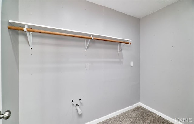 2922 S Compton Ave, Saint Louis, MO 63118 - walk in closet with carpet flooring