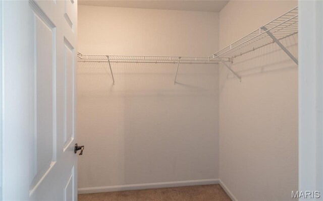 16855 Lemming Ln, Saint Robert, MO 65584 - spacious closet with light carpet