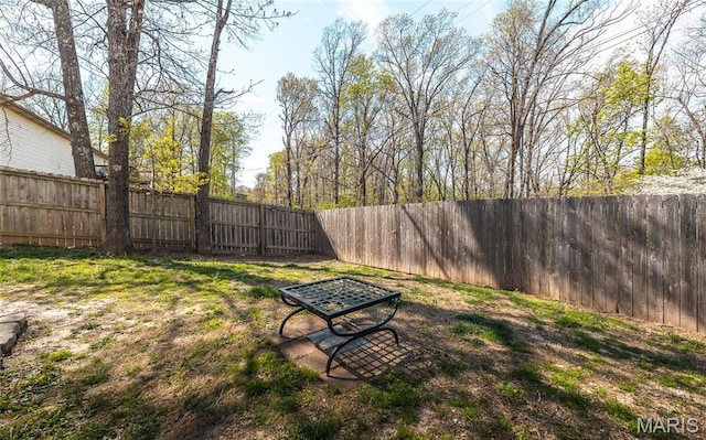 16855 Lemming Ln, Saint Robert, MO 65584 - view of fenced backyard