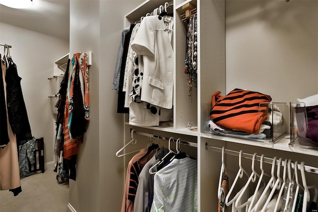 155 Carondelet Plz Unit 600, Saint Louis, MO 63105 - spacious closet with carpet floors