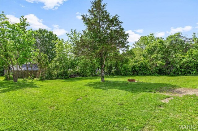 419 Murrill St, Bonne Terre, MO 63628 - view of green lawn