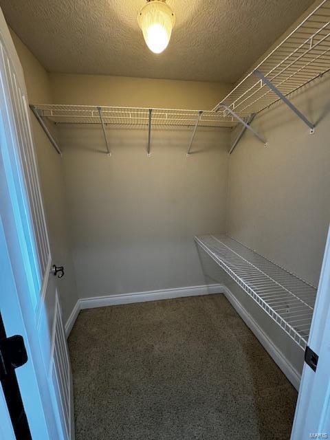 100 Walnut Ct, Saint Robert, MO 65584 - spacious closet with carpet flooring