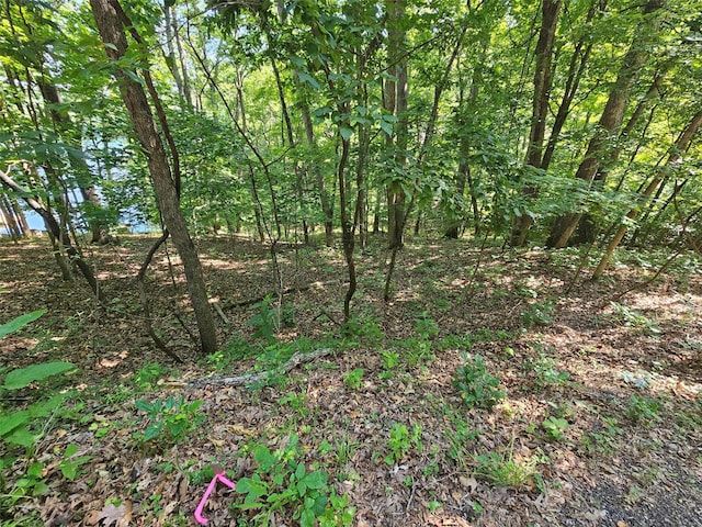 1521 S Lake Sherwood Dr, Lake Sherwood, MO 63357