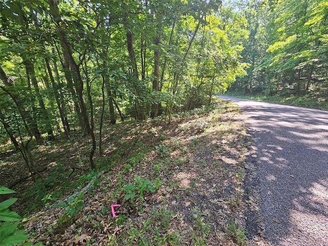 1521 S Lake Sherwood Dr, Lake Sherwood, MO 63357