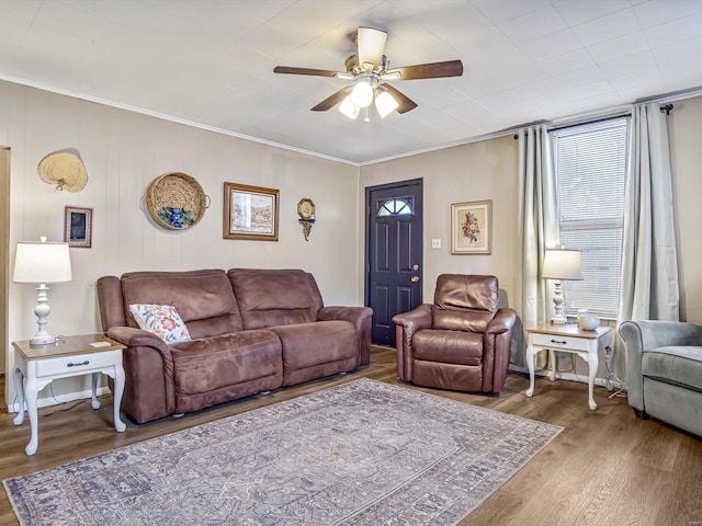 living room featuring ceiling fan, wood finished floors, and crown molding