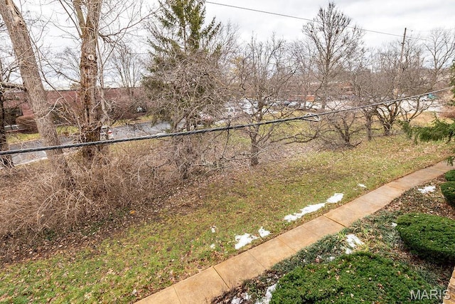 11741 Casa Grande Dr Unit G, Creve Coeur Township, MO 63146 - view of yard