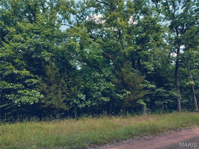 231 Dogwood Ln, Williamsburg, MO 63388 - photo 2