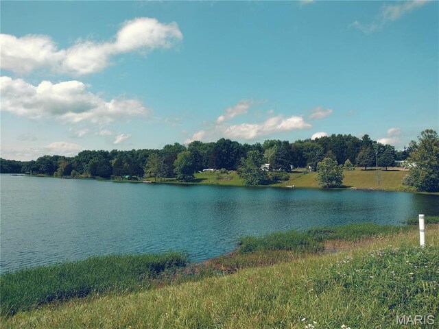 231 Dogwood Ln, Williamsburg, MO 63388 - photo 3