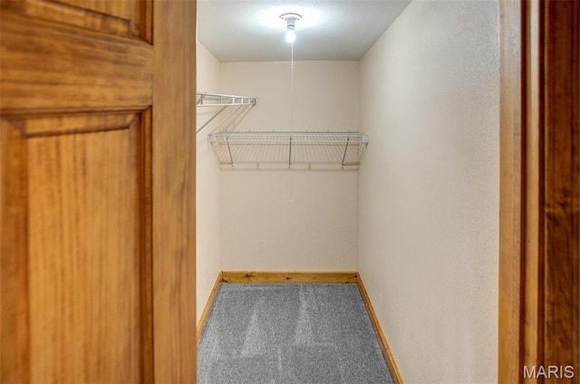 134 N 82nd St, Belleville, IL 62223 - walk in closet featuring carpet floors