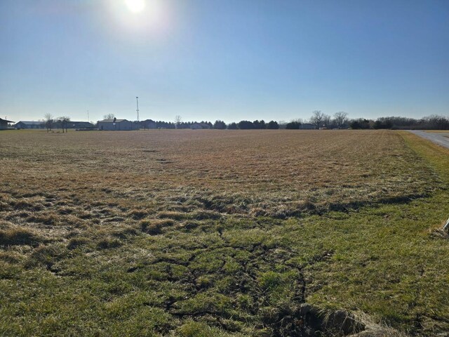 8519 Cardinal Hill Rd, Rochester, IL 62563 - photo 3