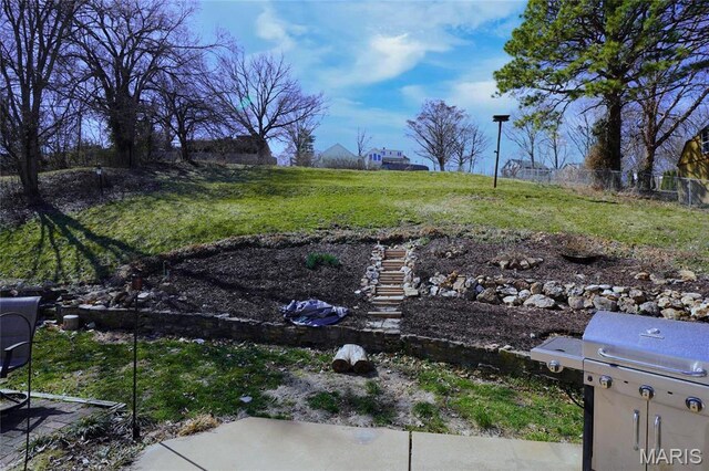 1014 Jefferson St, Hermann, MO 65041 - view of yard