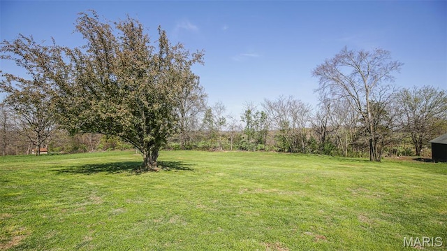 13060 Kimberly Ln, De Soto, MO 63020 - view of grassy yard